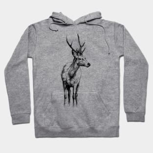 Deer Buck Animal Portrait Hoodie